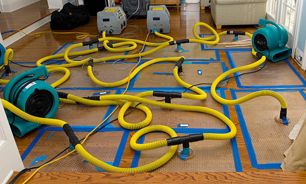 Professional Water Extraction technician working in Onalaska, WI